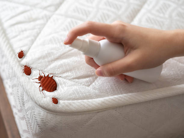 Best Emergency Pest Control  in K I Sawyer, MI